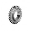 PINION