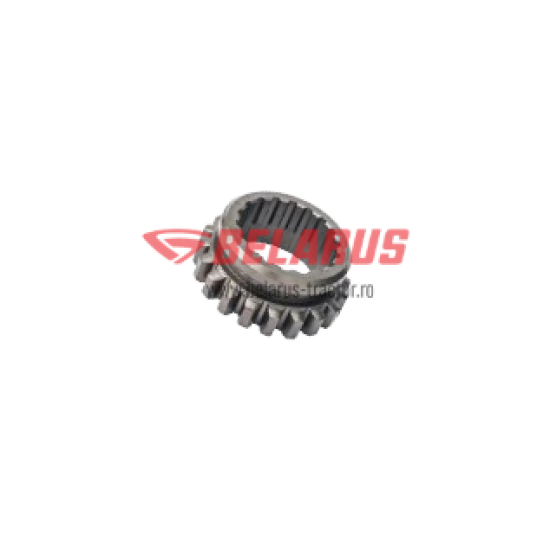 PINION 70-1701072