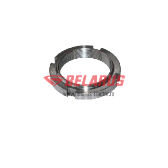 PIULITA ARBORE INTERMEDIAR 50-1701181