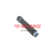 ARBORE PRIMAR 48-1701032-A