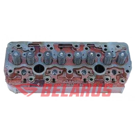 CHIULOASA IN ANSAMBLU