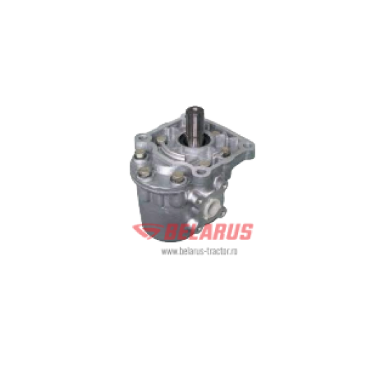 POMPA DIRECTIE NS10J